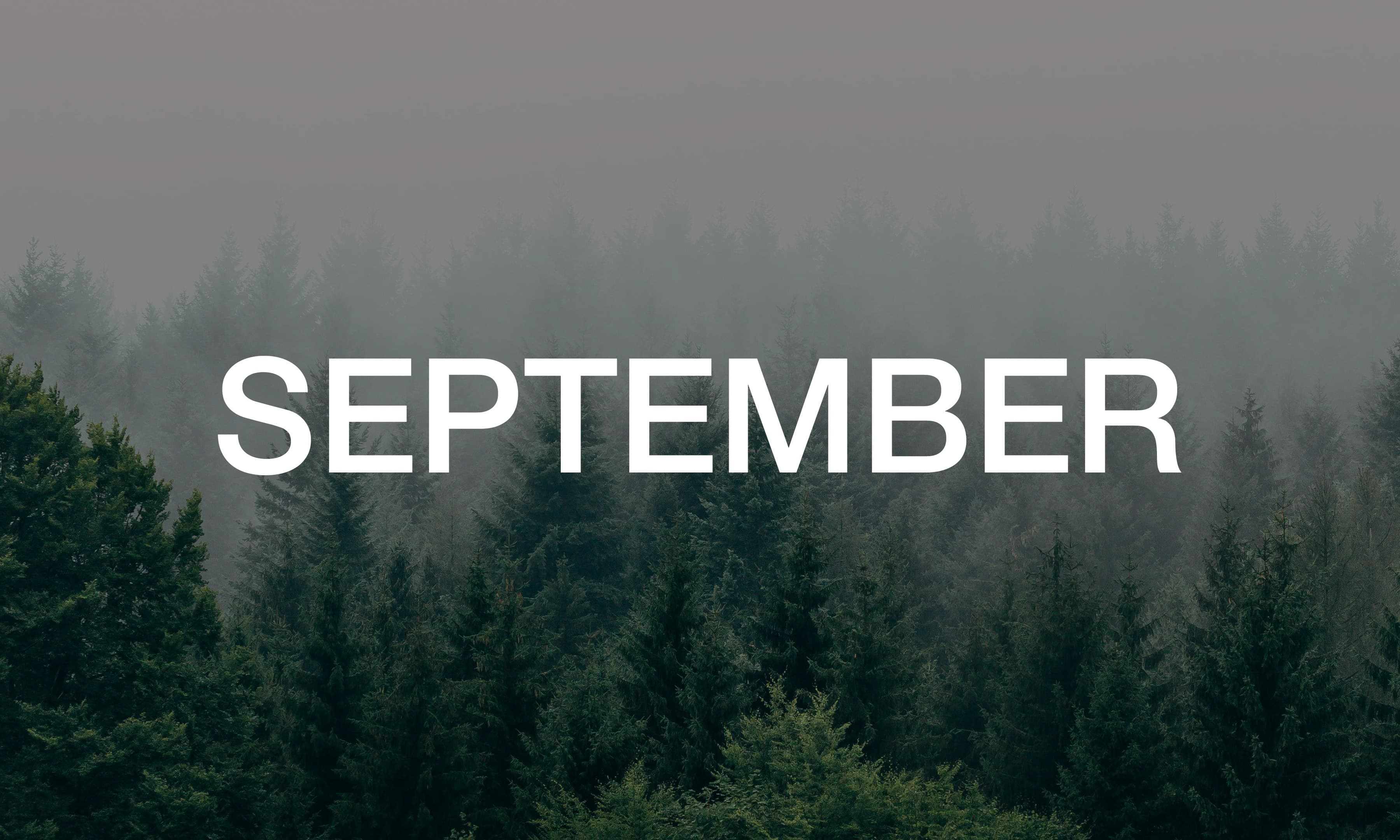 Blog cover art